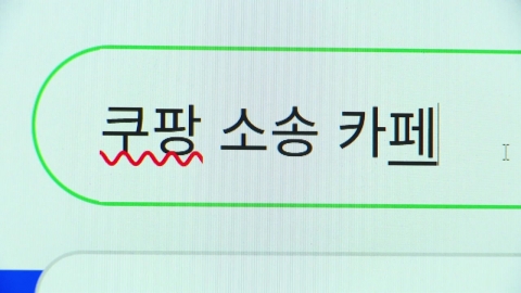 쿠팡 소송 28만 명 참여…이틀째 본사 압수수색