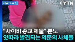 제수용 음식과 함께 발견된 고양이 사체들? "사이비 종교 제물로 쓰였다" [지금이뉴스]