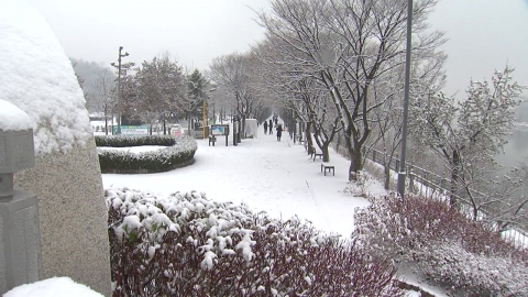 [날씨] 강원 산간 내일까지 최대 10cm 눈…서해안 한파주의보