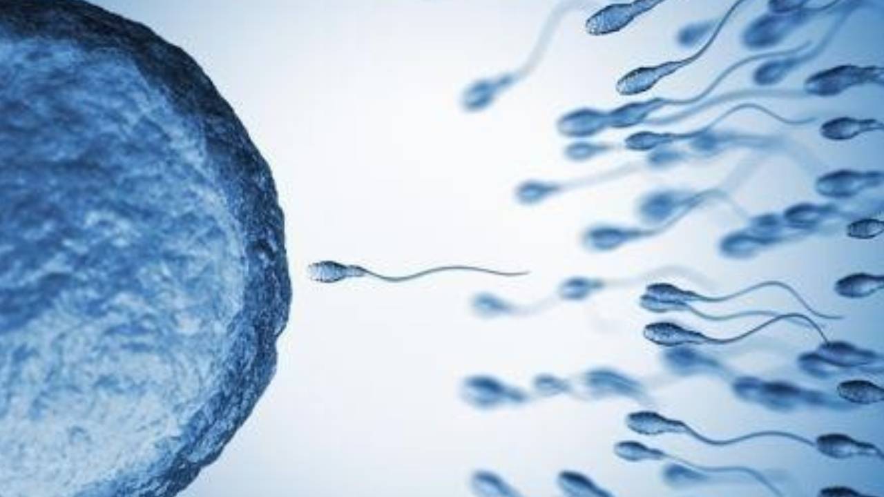정자 기증으로 197명 태어났는데...기증자 '희귀 암 유발 유전자'