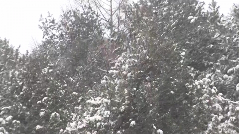 [날씨] 밤사이 기온 뚝, 강원 산간 10cm 눈…주말 중부 대설