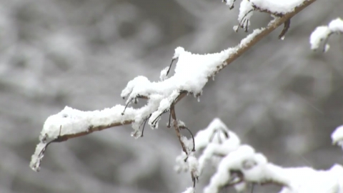 하루 새 기온 5∼10℃ 뚝…주말 대설특보 수준 많은 눈