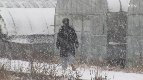 경기 북동부 등 대설 주의보…오후 늦게 많은 눈