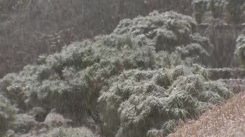 강원 산지 최대 15cm 폭설…눈길 교통사고·시설물 피해 주의