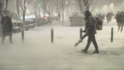 건설보다 6배 무거운 '습설'..."무조건 빨리 치워야 한다" [Y녹...