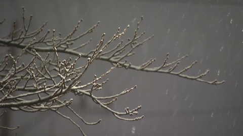 밤까지 수도권 일대 눈…이 시각 경기 포천