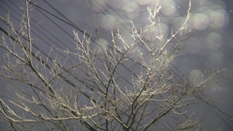 수도권 대설주의보 해제…"자정 무렵 대부분 눈 그칠 듯"