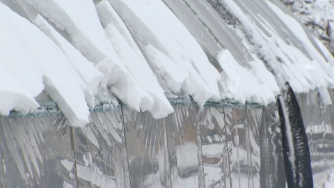 "강원 대설에 산불 걱정 덜어"…살얼음·시설 피해는 '주의'