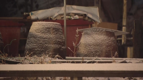 특보 수준 눈 왔지만 "적설 편차 커"…오늘 미끄럼 비상