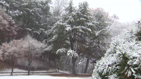 "강원 대설에 산불 걱정 덜어"…살얼음·시설 피해는 '주의'