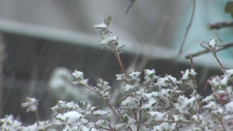 [날씨] 종일 찬 바람, 호남·제주 눈비…내일 아침까지 반짝 추위