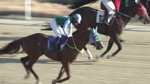 [주간 경마] 짙은 안개 속 경주...말이 기수를 믿어야?