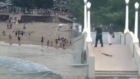 시드니 본다이 해변 총격 테러 16명 사망…"총격범 2명 부자지간"