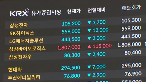 되살아난 AI 거품론…삼성전자·SK하이닉스 급락