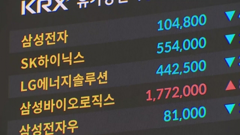 되살아난 AI 거품론…삼성전자·SK하이닉스 급락