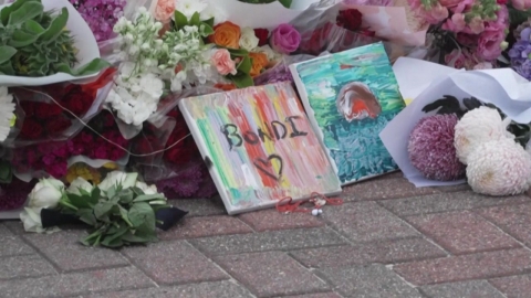 호주 당국, 시드니 해변 총격범 '무슬림' 부자 IS 관련성 수사