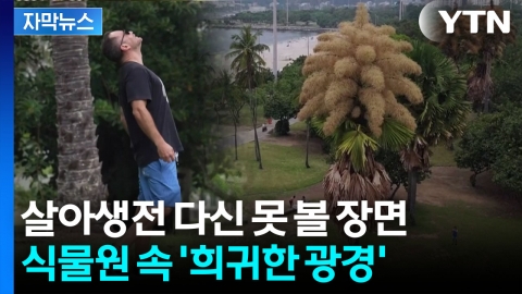 [자막뉴스] 수십 년만에 벌어진 현상...이례적 광경에 몰려온 사람들