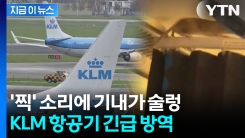 \'찍\' 소리에 기내가 술렁... KLM, 항공편 취소하고 긴급 방역 [지금이뉴스]