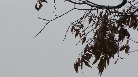 [날씨] 밤까지 중부 곳곳 비·눈, 빙판길 유의…차츰 스모그 유입