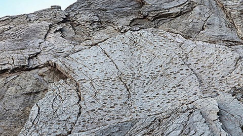 이탈리아 알프스에서 2억 년 전 공룡 발자국 수만 개 발견