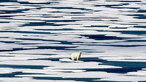 "북극 기온 관측 사상 최고…강수량도 역대 최고"