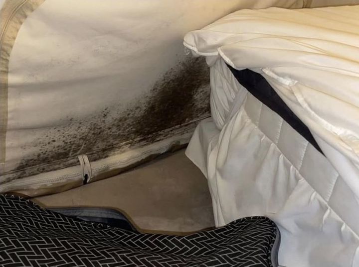 "야외 취침이 낫겠다"...'1박 23만원' 가평 글램핑장 충격 위생