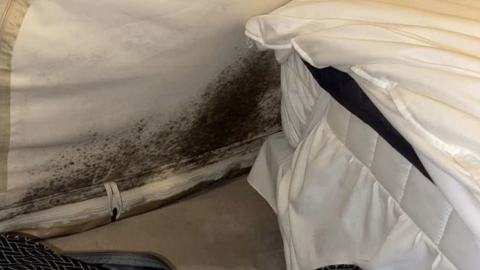 "야외 취침이 낫겠다"…\'1박 23만원\' 가평 글램핑장 충격 위생