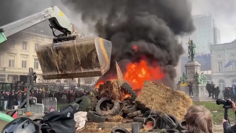 브뤼셀 점령한 트랙터 시위…"EU·남미 FTA 결사 반대"