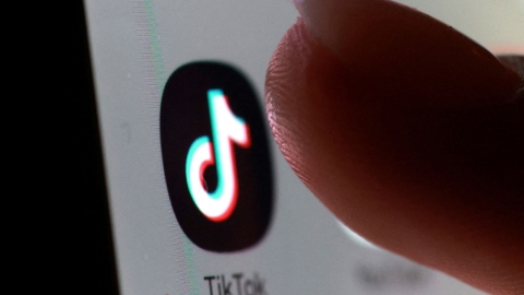 "틱톡 미국 사업권, 오라클 등에 매각...합작회사 설립"