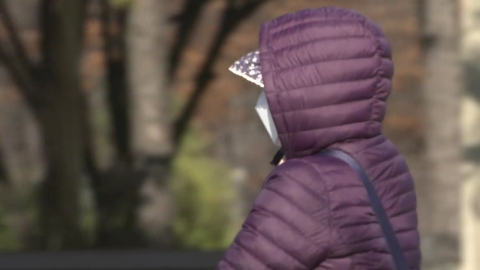 [날씨] 기온 또 '롤러코스터'…주말까지 초봄, 다음 주 초 반짝 추위