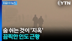\'집에서 나오지 마\'...인도, 한치 앞도 안 보이는 대기오염 수준 [지금이뉴스]