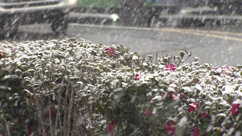 서울 10년 내 \'화이트 크리스마스\' 두 차례…올해는?