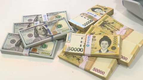 6개월째 치솟은 고환율에…소비자 물가 \'비상\'