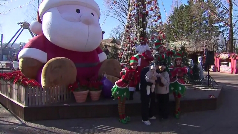 도심 곳곳 트리 장식...설렘 가득 '연말 분위기'