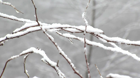 [날씨] 성탄절 맑지만 '반짝 한파'…금요일 서울 체감 -19℃