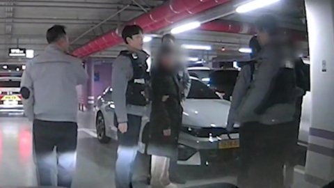 지하주차장의 '경찰과 도둑'…차털이 10대들 검거