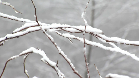 [날씨] 성탄절 맑지만 '반짝 한파'…금요일 서울 체감 -19℃