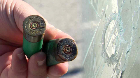 [제보는Y] "유리 깨지고 곳곳에 탄피"…수렵 총기 공포에 주민 떠난다