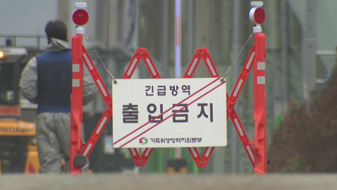 "연이틀 확진" 충북 덮친 고병원성 AI…전국 일제 검사 착수