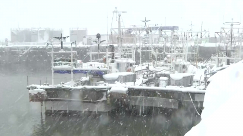 [날씨] 내일 '성탄 한파' 찾아와…서해안은 화이트 크리스마스