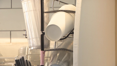 "일회용 컵값은 영수증 표시만"…사용 줄어들까?