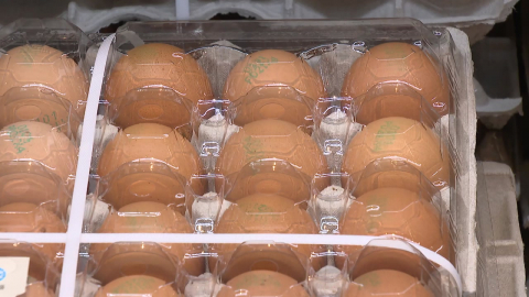 달걀부터 칼국수까지…연말 먹거리 물가 '들썩'