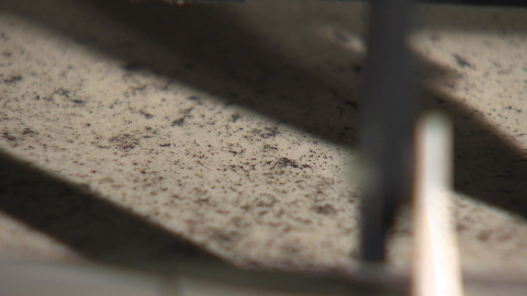 겨울철 실내에 숨어든 '침묵의 병균'…가전 속 세균 주의