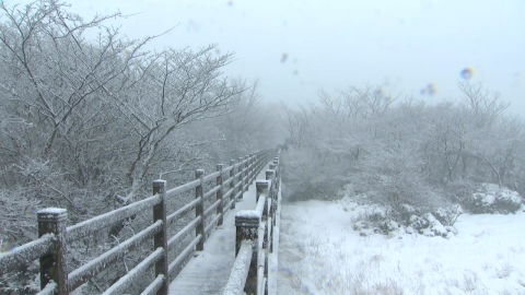 [날씨] 강추위 절정, 서울 체감 -18℃…호남 서해안·제주도 눈