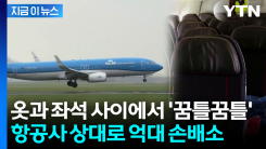 "여객기에서 빈대에 물렸다"...항공사 상대로 억대 손배소 [지금이뉴스] 