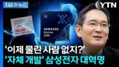 삼성전자, 이제 엔비디아처럼...\'자체 개발\' 엄청난 성공 [지금이뉴스] 