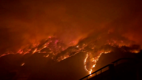집·일터 앗아간 최악의 산불…이재민들 \'시린 겨울나기\'