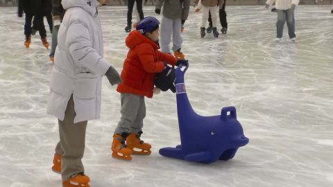 [날씨] 포근한 올해 마지막 휴일…중서부 눈·비