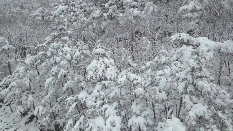 [날씨] 강원 산간 최고 8cm 눈 예보…출근길 살얼음 주의