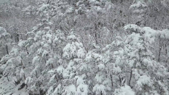 [날씨] 강원 산간 최고 8cm 눈 예보...출근길 살얼음 주의